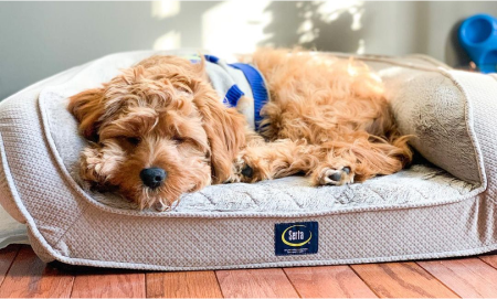 The 4 Stages of Sleep (NREM and REM Sleep Cycles)