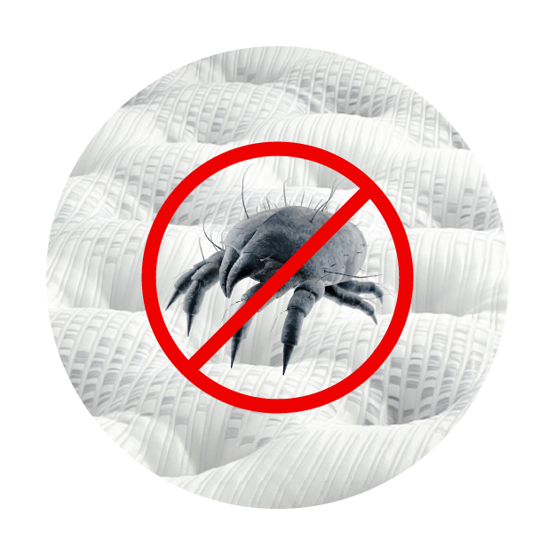 Anti Dust Mite, Anti Fungus, Anti Bacterial