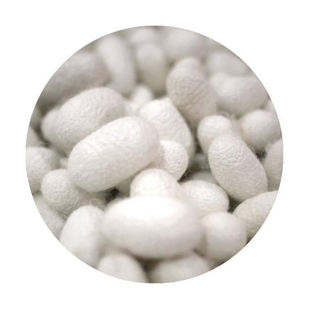Natural Silk Fiber