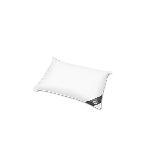 Goose Down Pillow